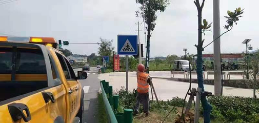 剪綠遮修護欄，筑牢公路交通安全生命線